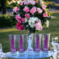 Glitter Raspberry Bridal Party Shot Glasses